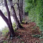 Vakantiehuis La Sur L'eau Cul-des-Sarts