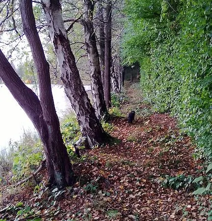 Casa de Férias La Sur L'eau Cul-des-Sarts