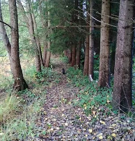 La Sur L'eau Cul-des-Sarts