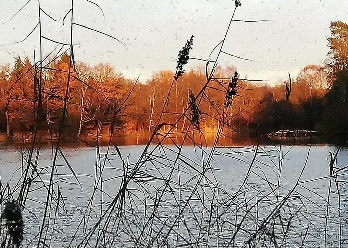 Hébergement de vacances La Sur L'eau Cul-des-Sarts