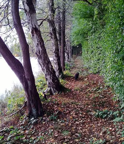 Hébergement de vacances La Sur L'eau Cul-des-Sarts
